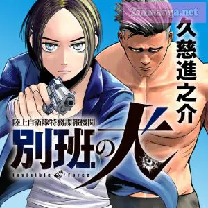 Invisible Force