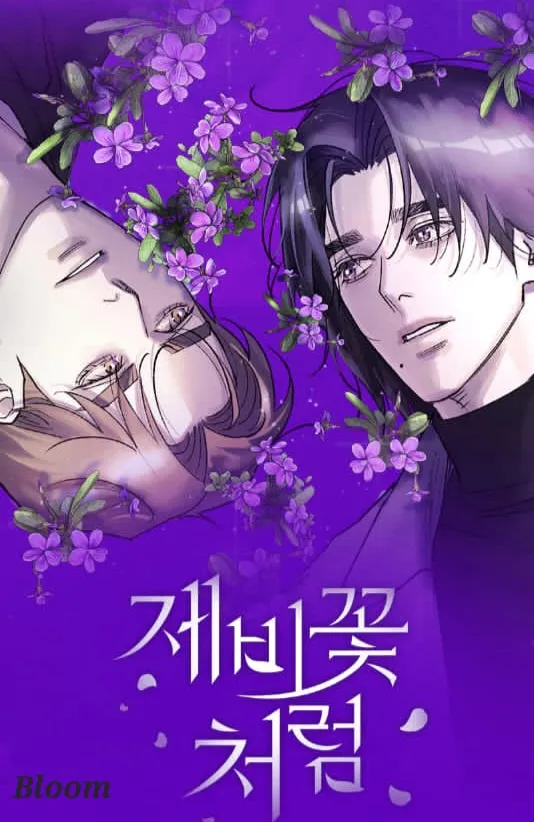 Like a Violet Zinmanga X