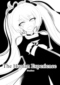 The Human Experience