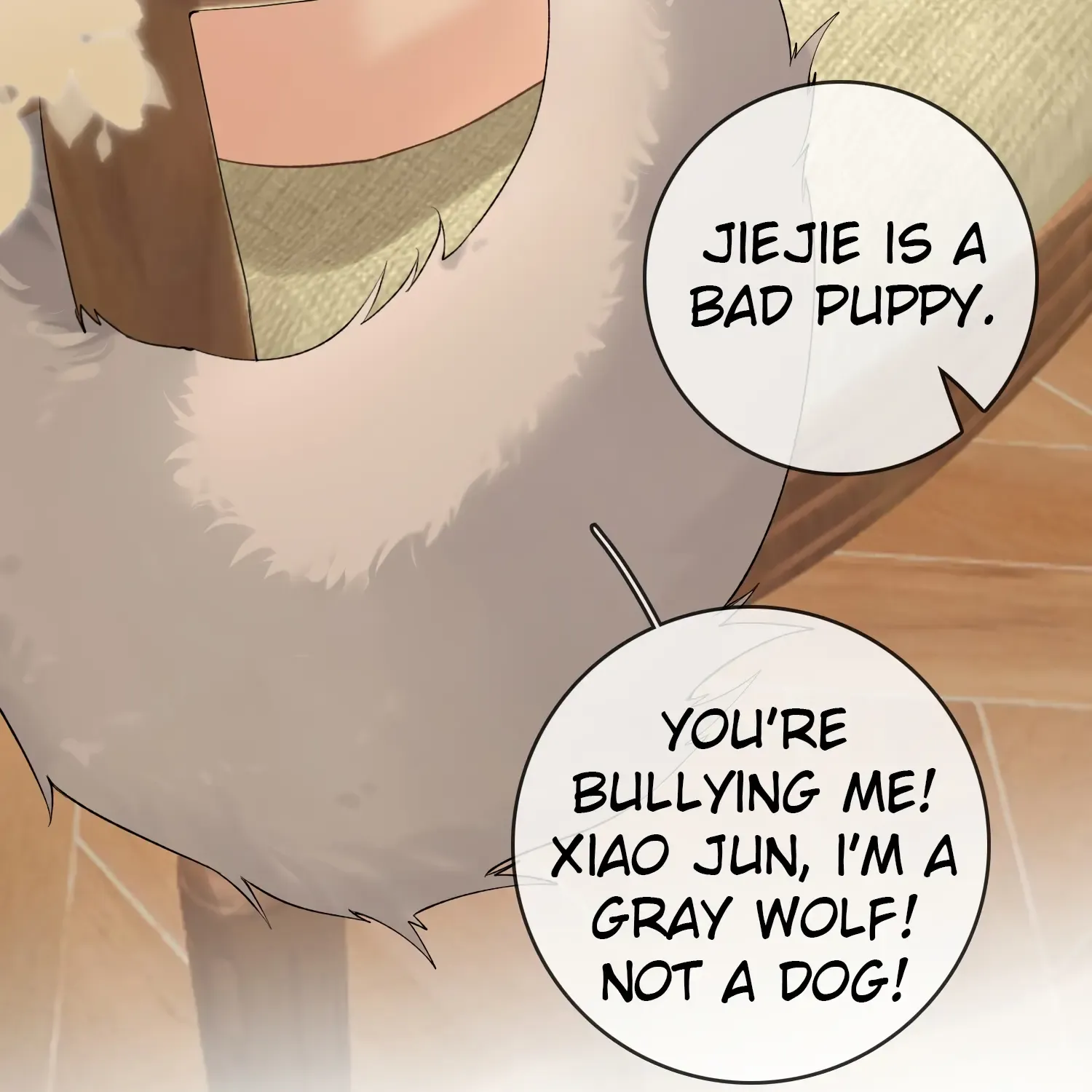 Lang Xiaojie He Ta De Huli Meimei Zinmanga X Chapter 38.2 Page 47