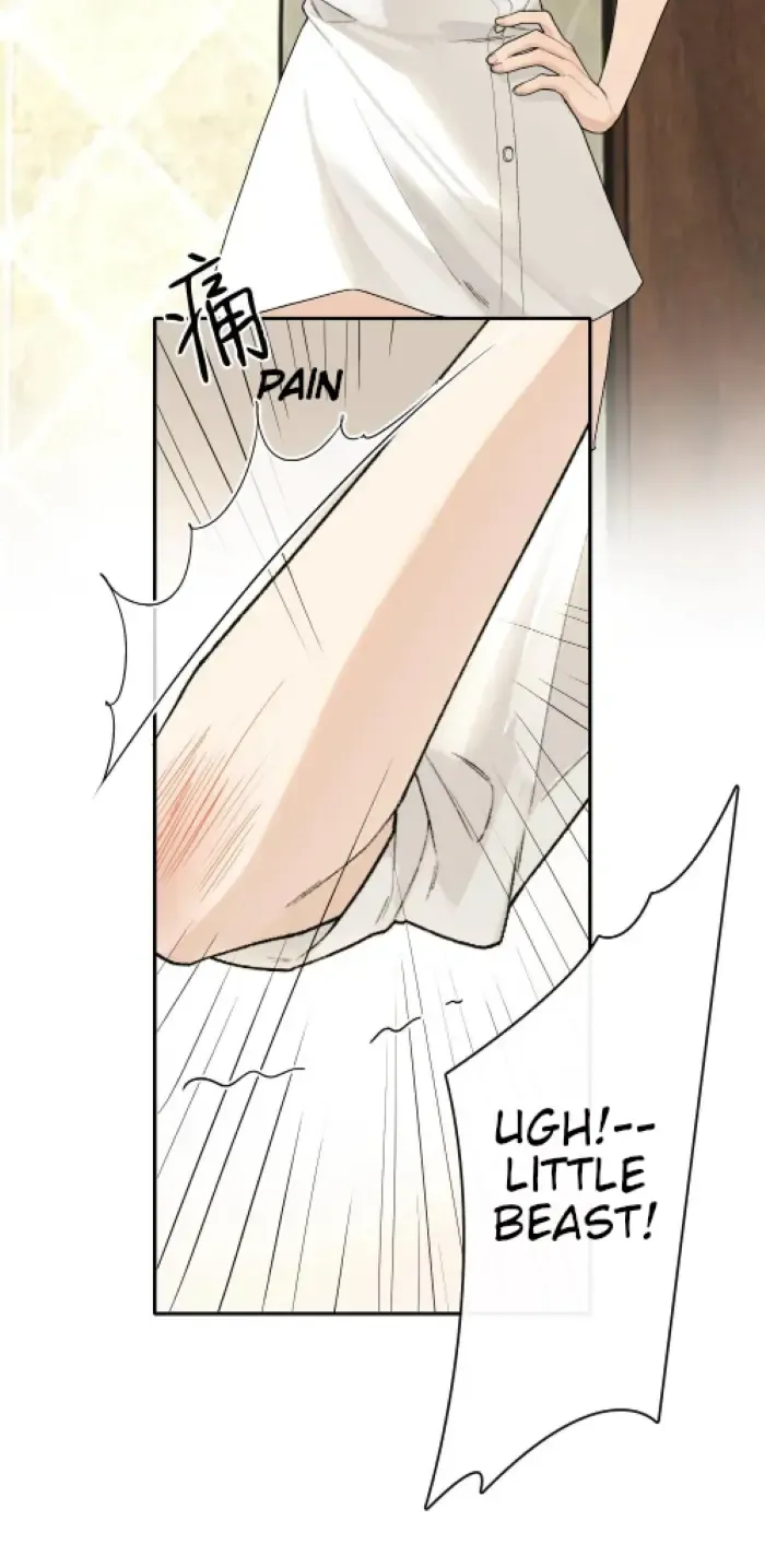 Lang Xiaojie He Ta De Huli Meimei Zinmanga X Chapter 20 Page 3
