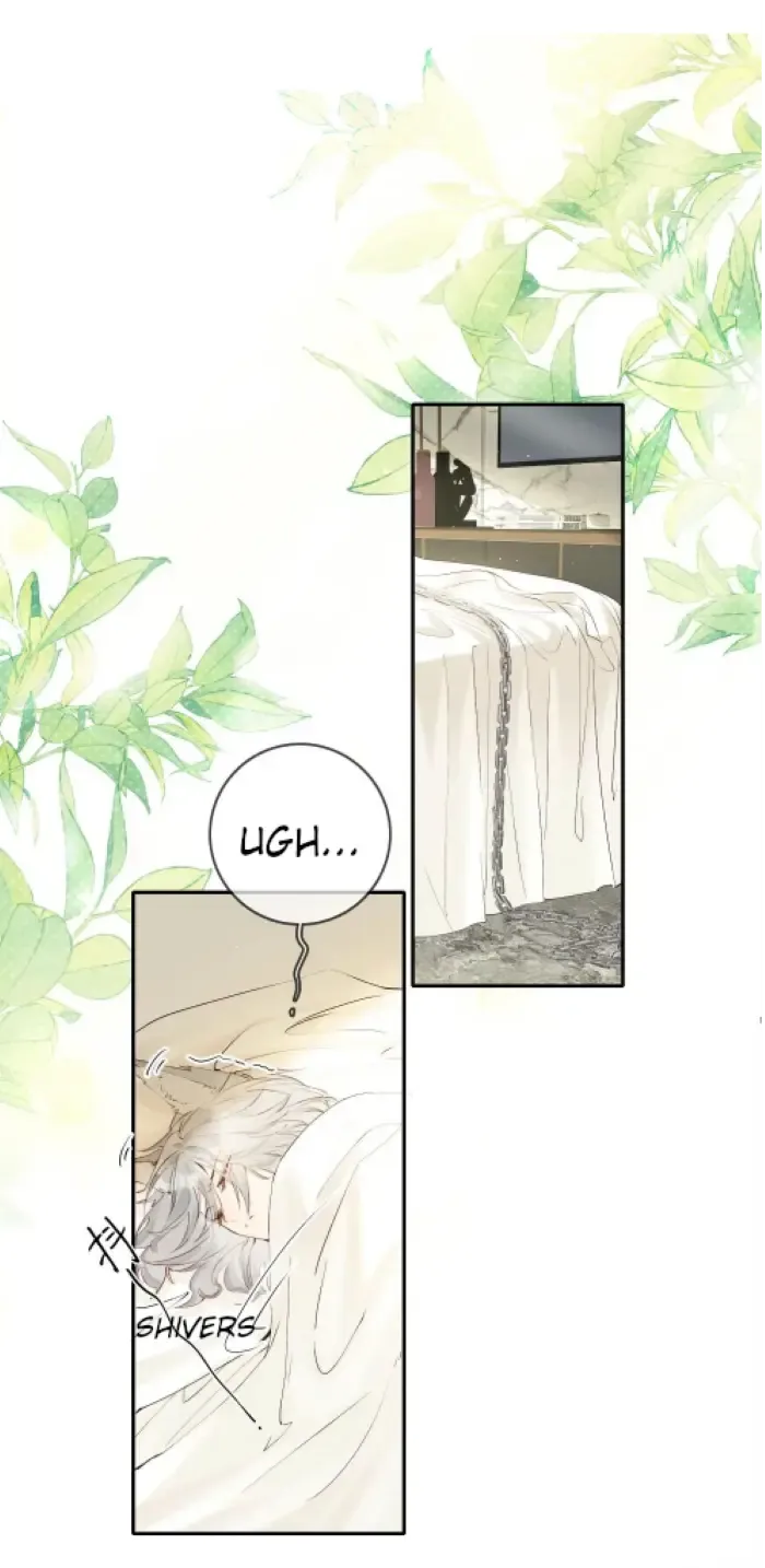 Lang Xiaojie He Ta De Huli Meimei Zinmanga X Chapter 18 Page 2