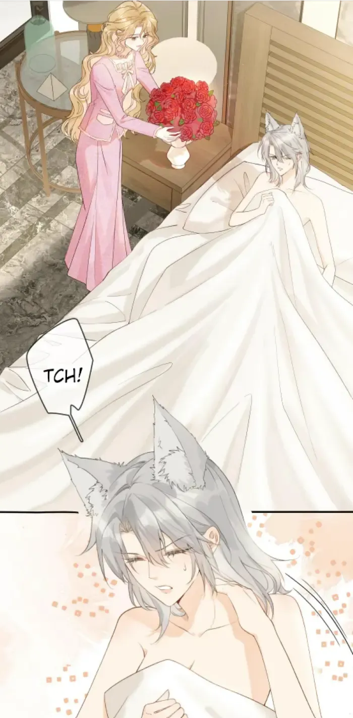 Lang Xiaojie He Ta De Huli Meimei Zinmanga X Chapter 18 Page 5
