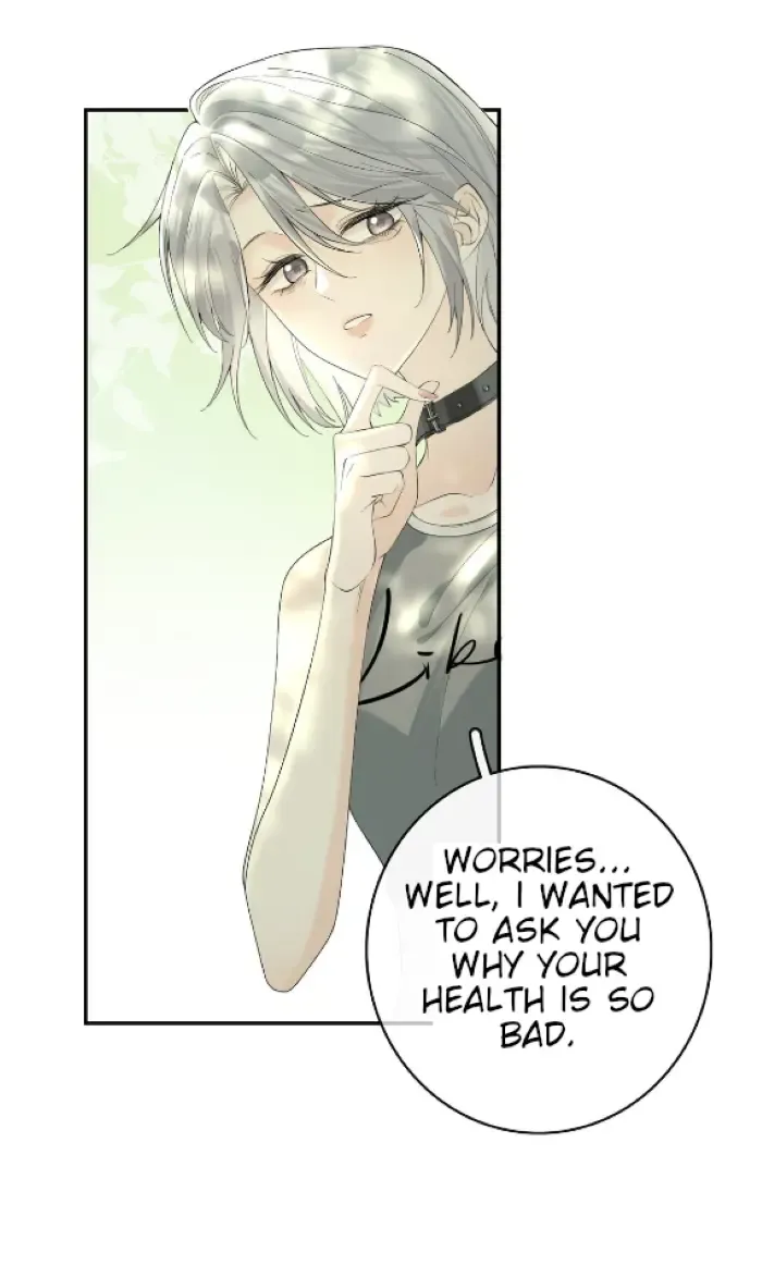 Lang Xiaojie He Ta De Huli Meimei Zinmanga X Chapter 12 Page 19