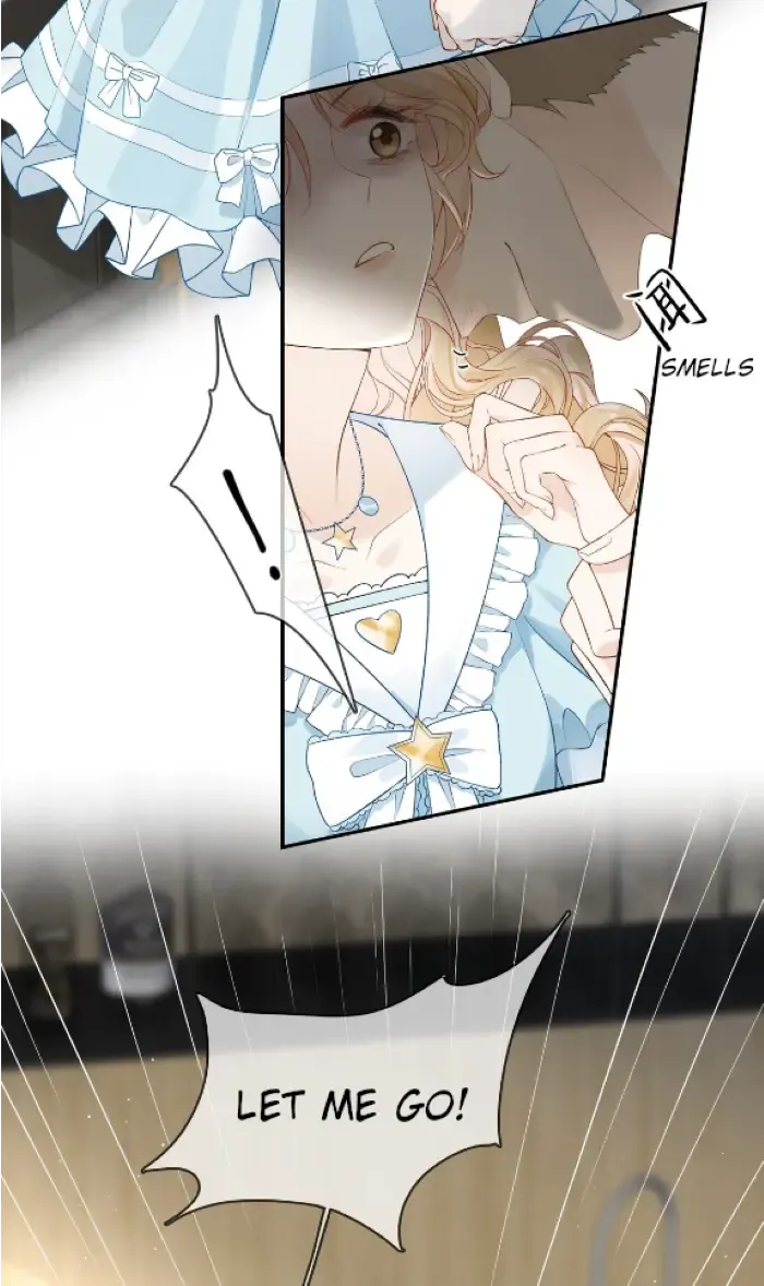 Lang Xiaojie He Ta De Huli Meimei Zinmanga X Chapter 11 Page 11