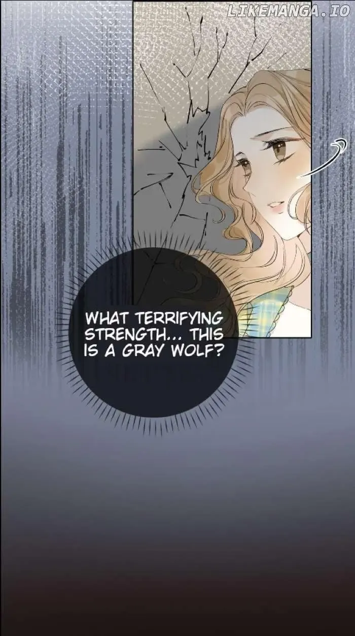 Lang Xiaojie He Ta De Huli Meimei Zinmanga X Chapter 3 Page 22