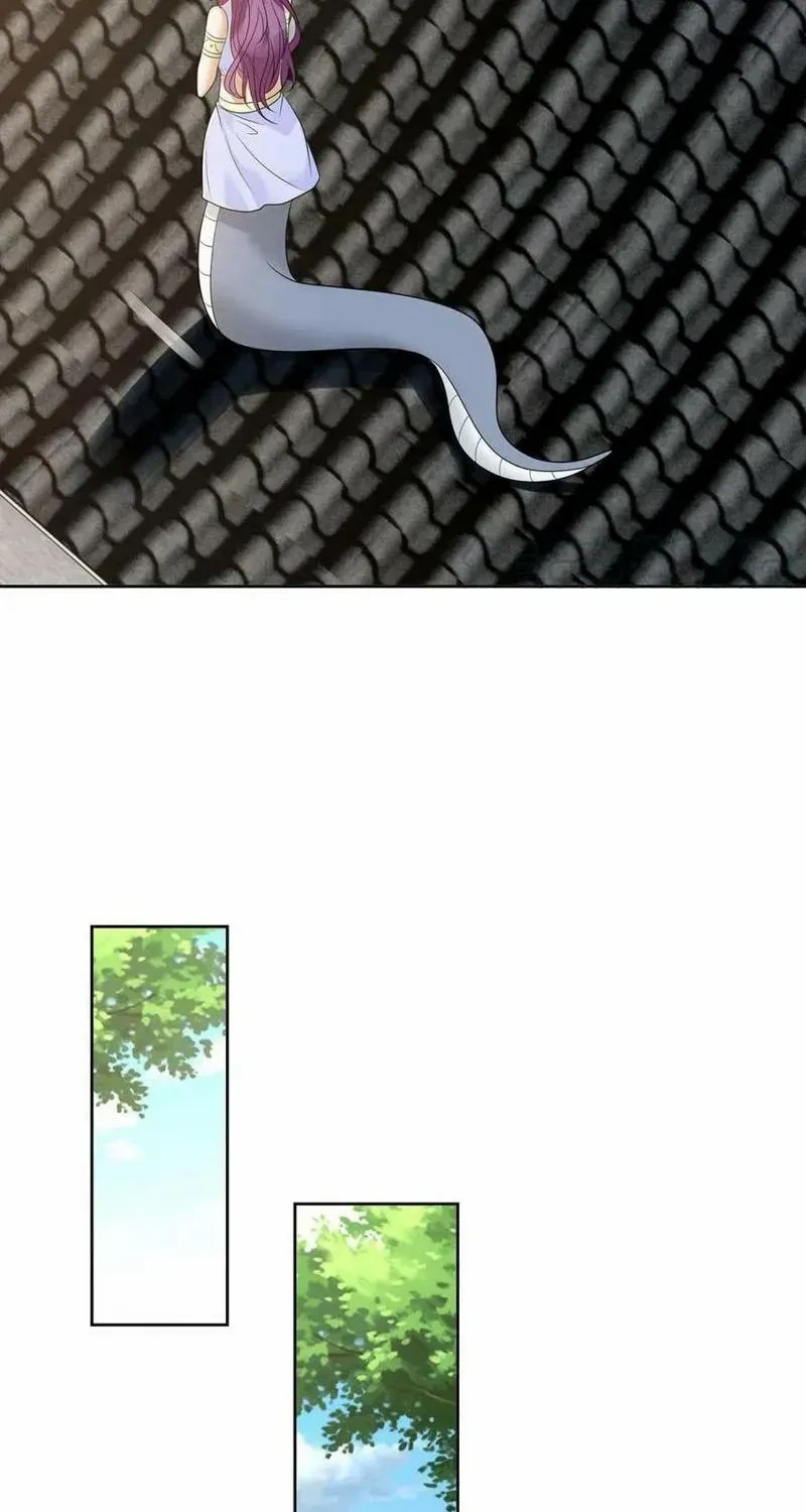 Beipo Chengwei Fanpai Zhuixu Zinmanga X Chapter 532 Page 13
