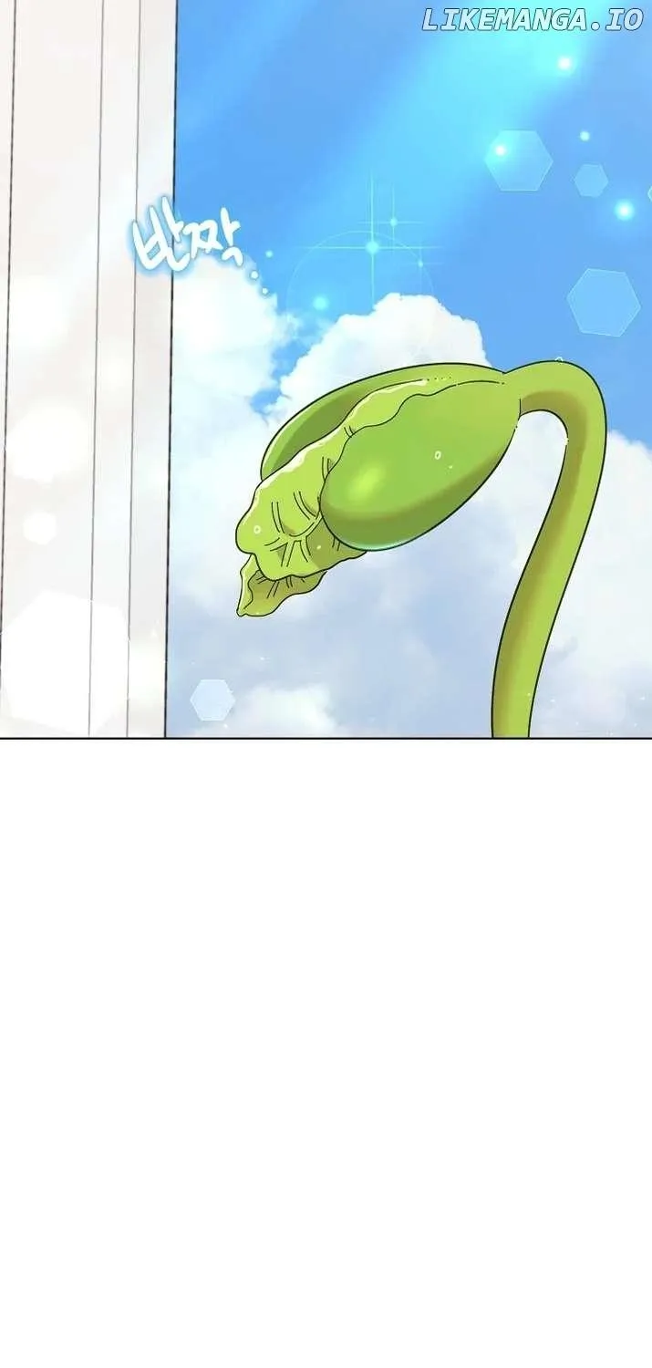 Brother, Am I Cute? Zinmanga X Chapter 32 Page 4