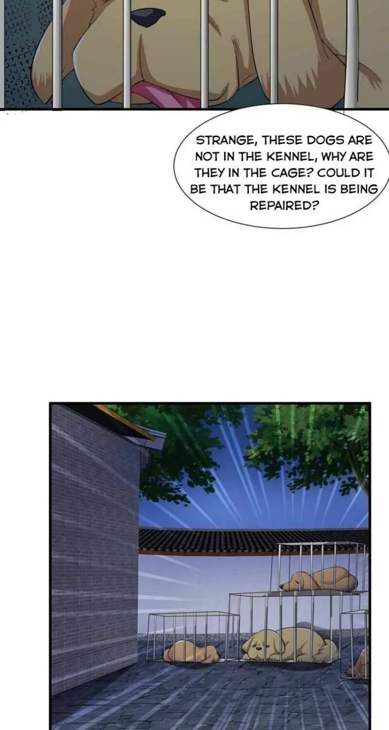 Beipo Chengwei Fanpai Zhuixu Zinmanga X Chapter 280 Page 16
