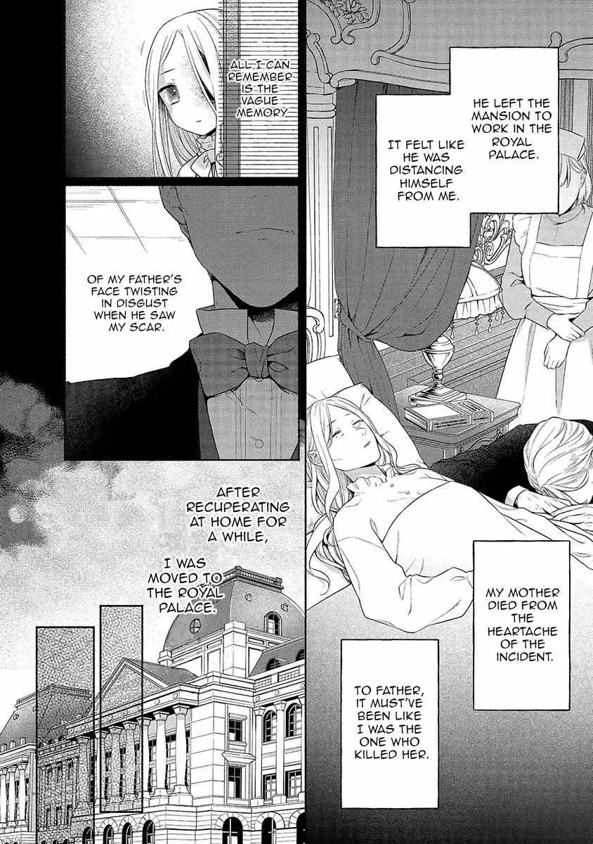 The Scarred Princess's Pursuit of Happiness Zinmanga X Chapter 1 Page 15