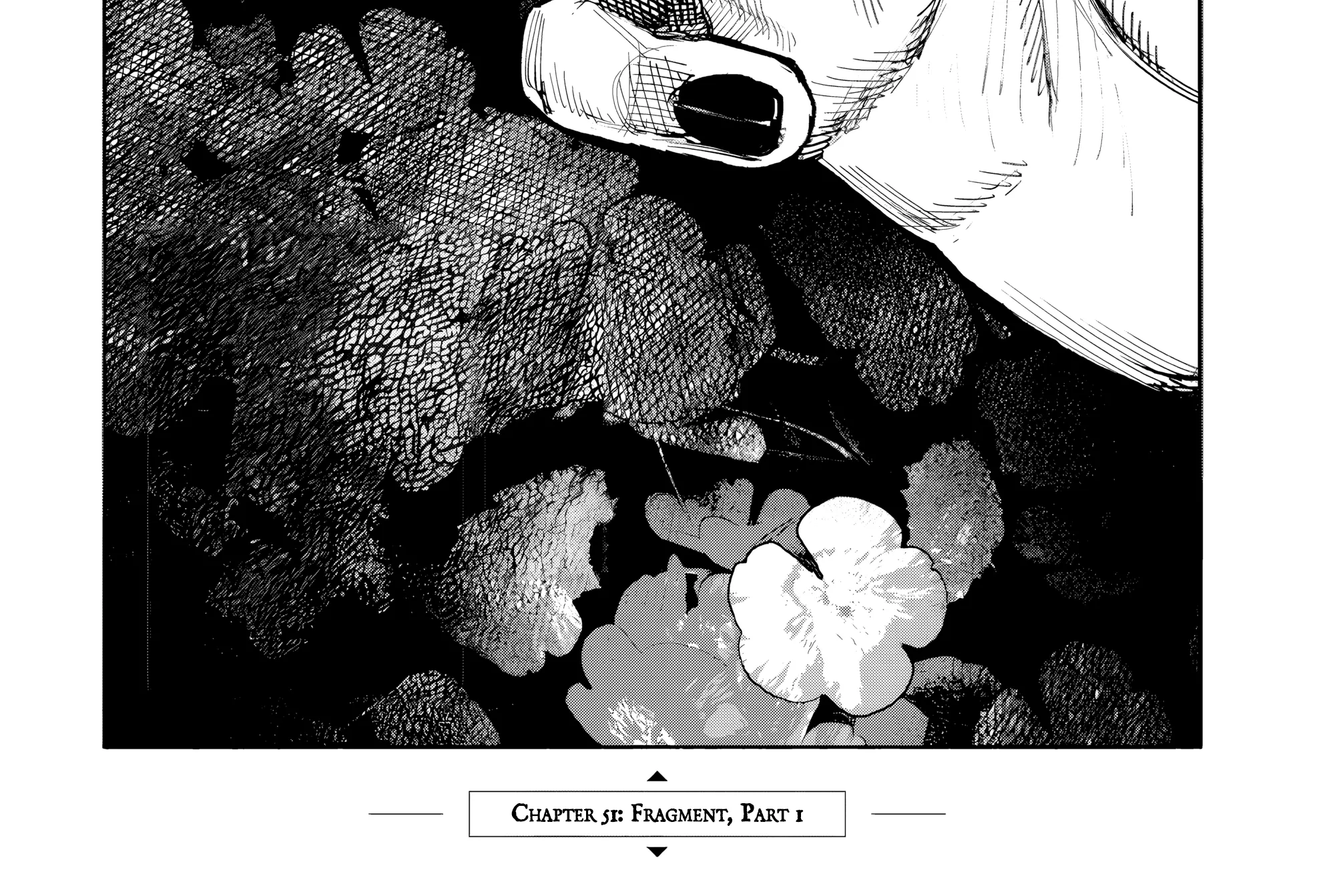 Choujin X Zinmanga X Chapter 51.1 Page 3