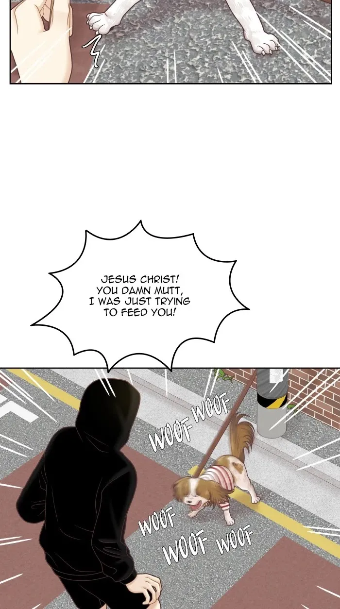 Girl's World Zinmanga X Chapter 312 Page 48