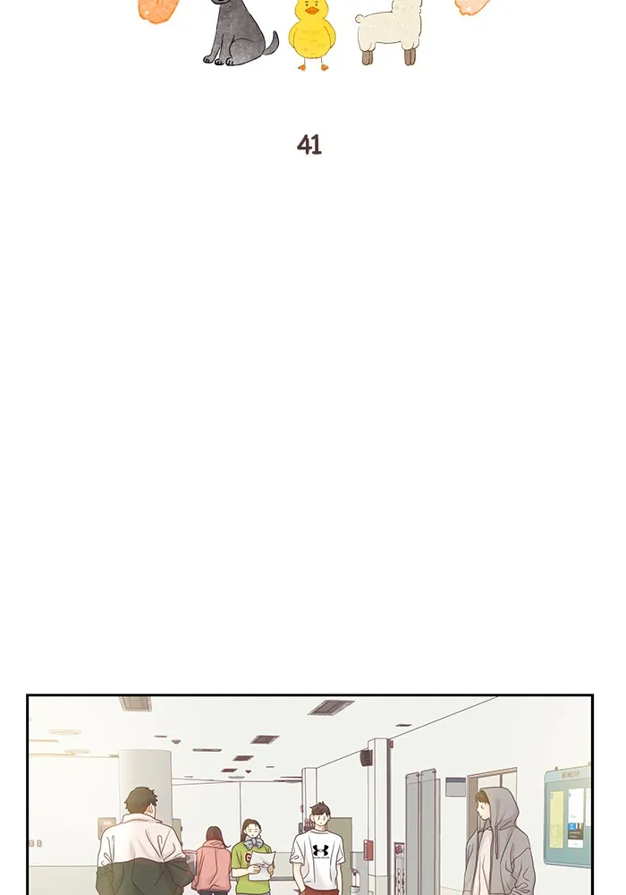 Girl's World Zinmanga X Chapter 255 Page 41