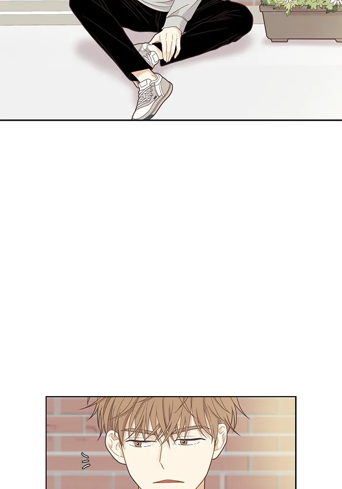Girl's World Zinmanga X Chapter 224 Page 28