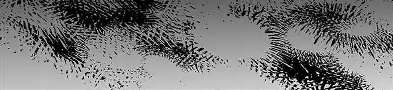 An Extra In The Family Is The First To Be Abandoned Zinmanga X Chapter 85 Page 91