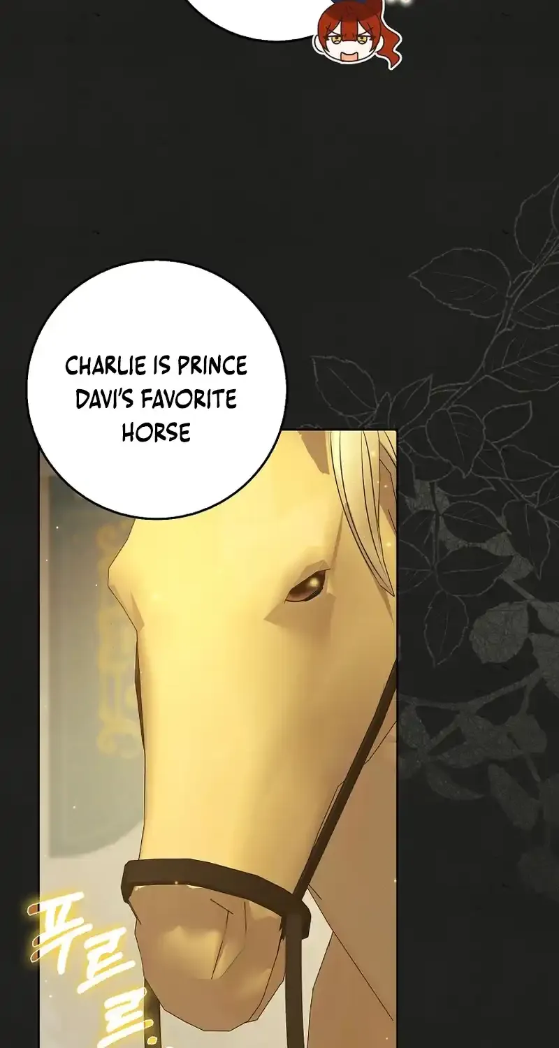 The secrets of the lovely duchess Zinmanga X Chapter 30 Page 16