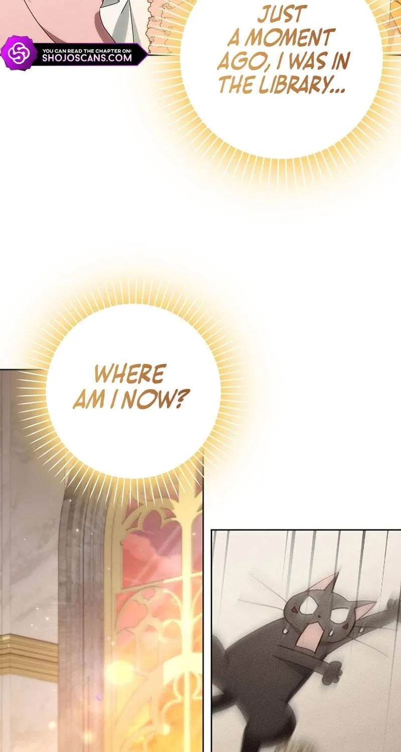 The secrets of the lovely duchess Zinmanga X Chapter 26 Page 5