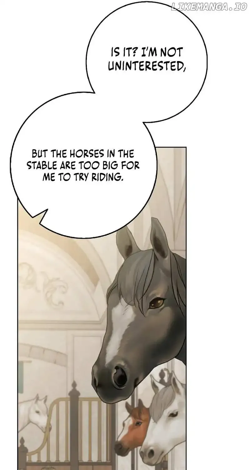 The secrets of the lovely duchess Zinmanga X Chapter 24 Page 66