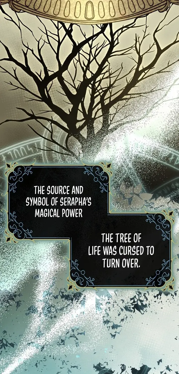The secrets of the lovely duchess Zinmanga X Chapter 15 Page 25