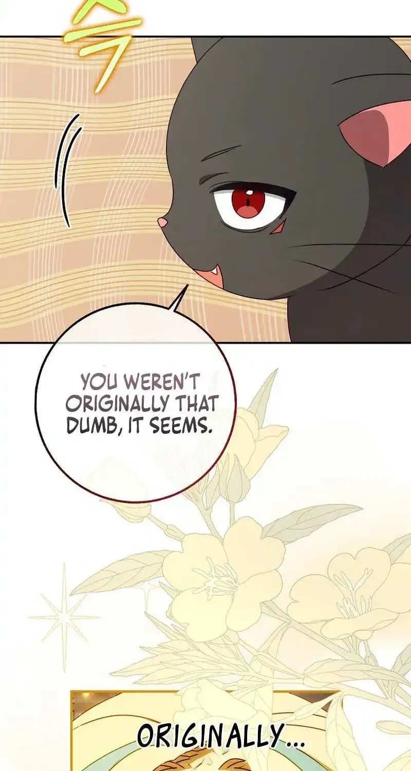 The secrets of the lovely duchess Zinmanga X Chapter 12 Page 34