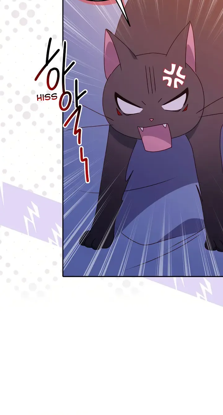 The secrets of the lovely duchess Zinmanga X Chapter 8 Page 65