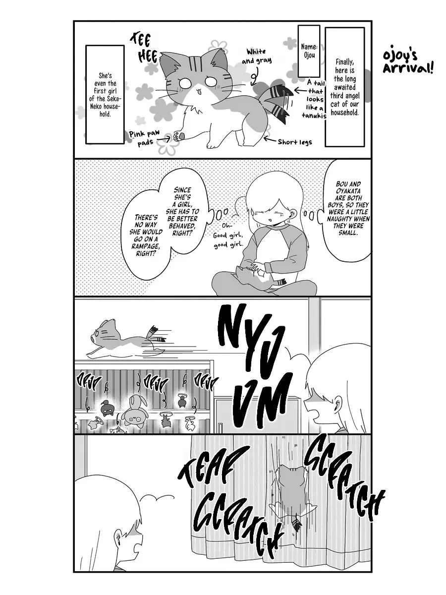 Sekai Wo Teki Ni Mawashitemo Neko Wo Aishiteru Zinmanga X Chapter 6 Page 9