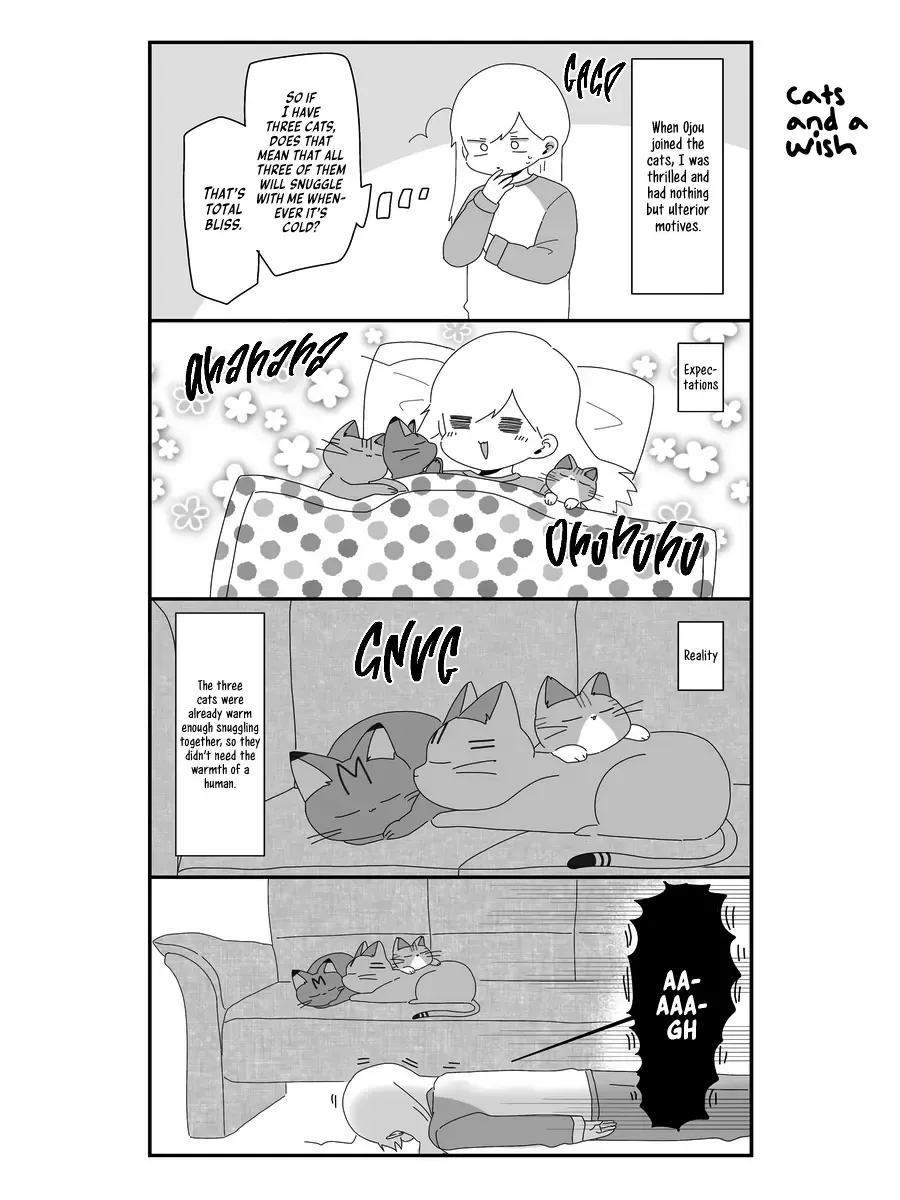 Sekai Wo Teki Ni Mawashitemo Neko Wo Aishiteru Zinmanga X Chapter 6 Page 16