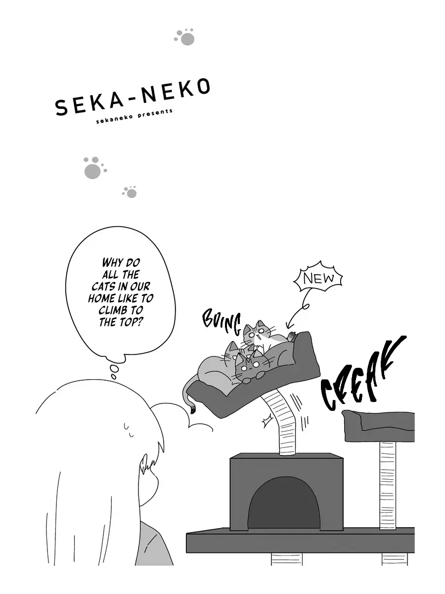 Sekai Wo Teki Ni Mawashitemo Neko Wo Aishiteru Zinmanga X Chapter 6 Page 23