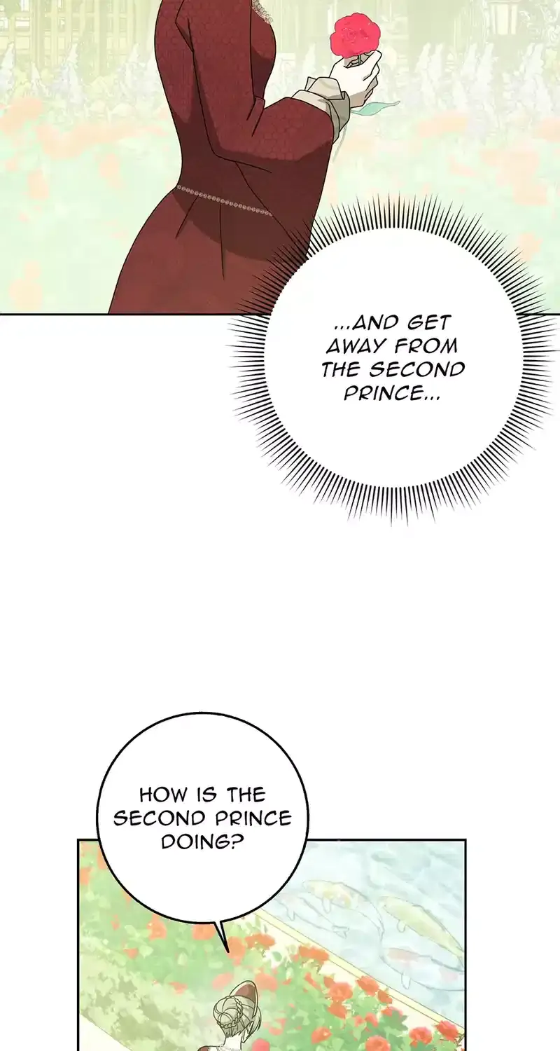 The Lost Cinderella Zinmanga X Chapter 48 Page 105