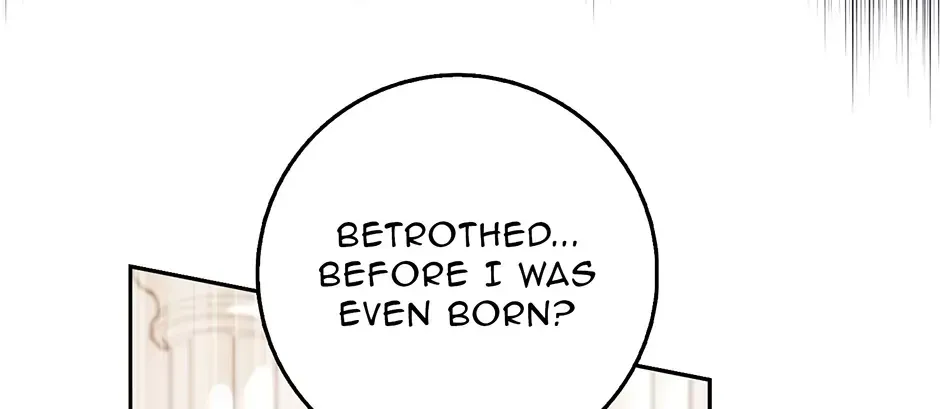 The Lost Cinderella Zinmanga X Chapter 44 Page 44