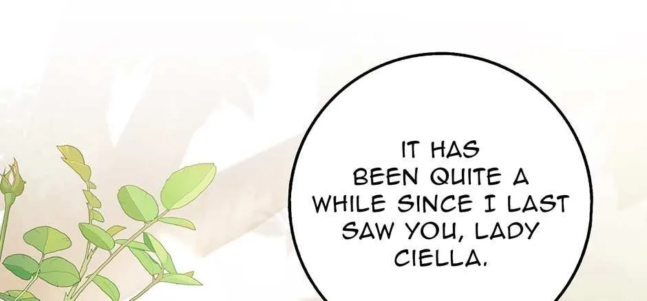 The Lost Cinderella Zinmanga X Chapter 17 Page 8