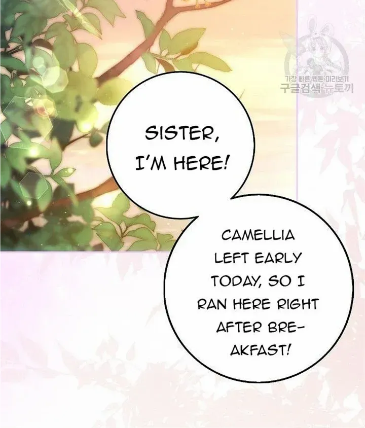 The Lost Cinderella Zinmanga X Chapter 8 Page 25