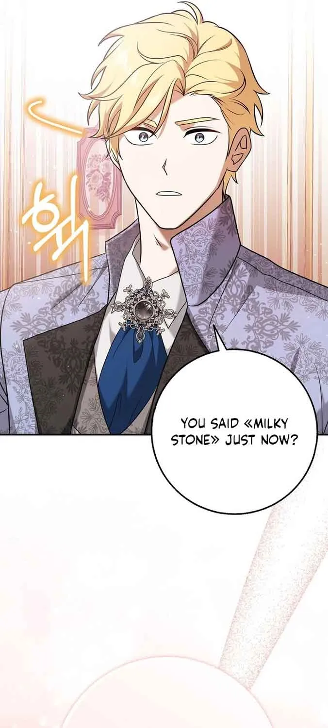 The Lost Cinderella Zinmanga X Chapter 2 Page 72