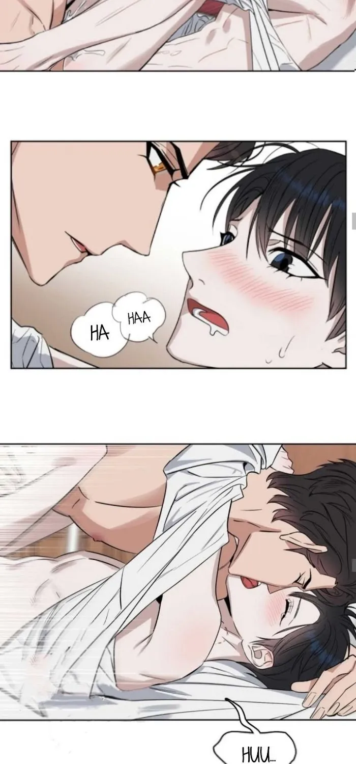 Kiss Me Liar Zinmanga X Chapter 19 Page 29
