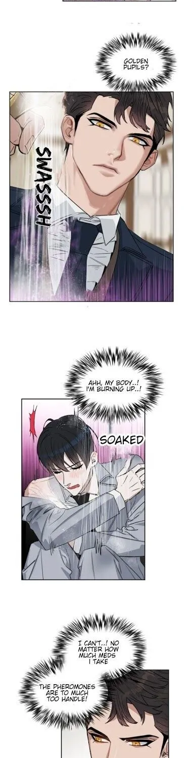Kiss Me Liar Zinmanga X Chapter 17 Page 4