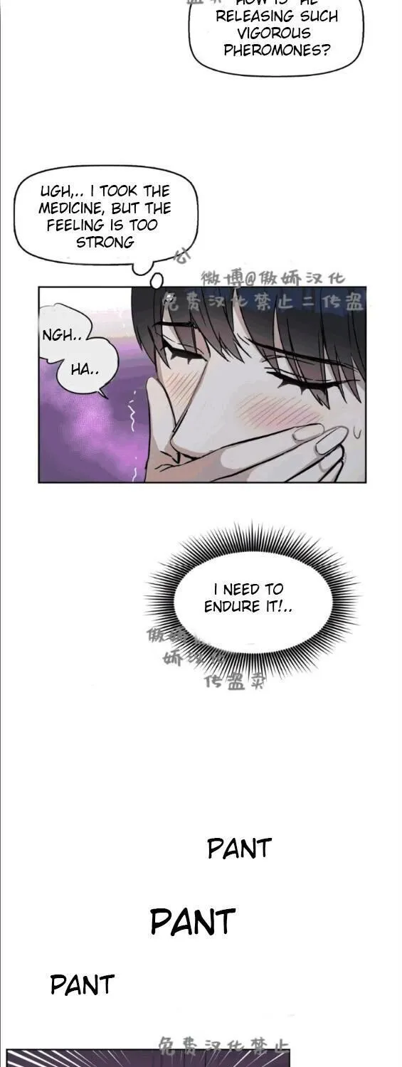 Kiss Me Liar Zinmanga X Chapter 13 Page 136
