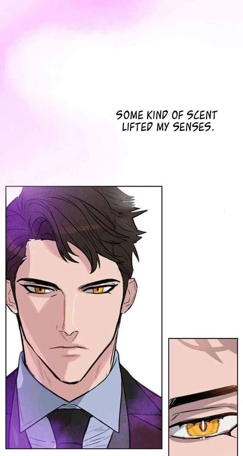Kiss Me Liar Zinmanga X Chapter 9 Page 1