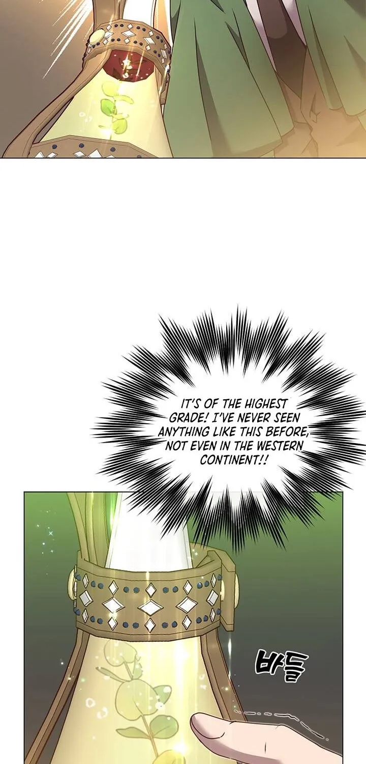 The Max Level Hero Strikes Back Zinmanga X Chapter 40 Page 14