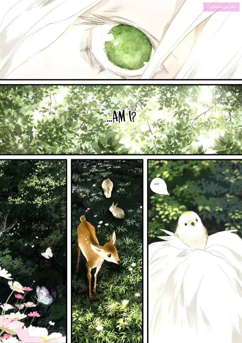 Song of the Sky Pacers Zinmanga X Chapter 41 Page 12