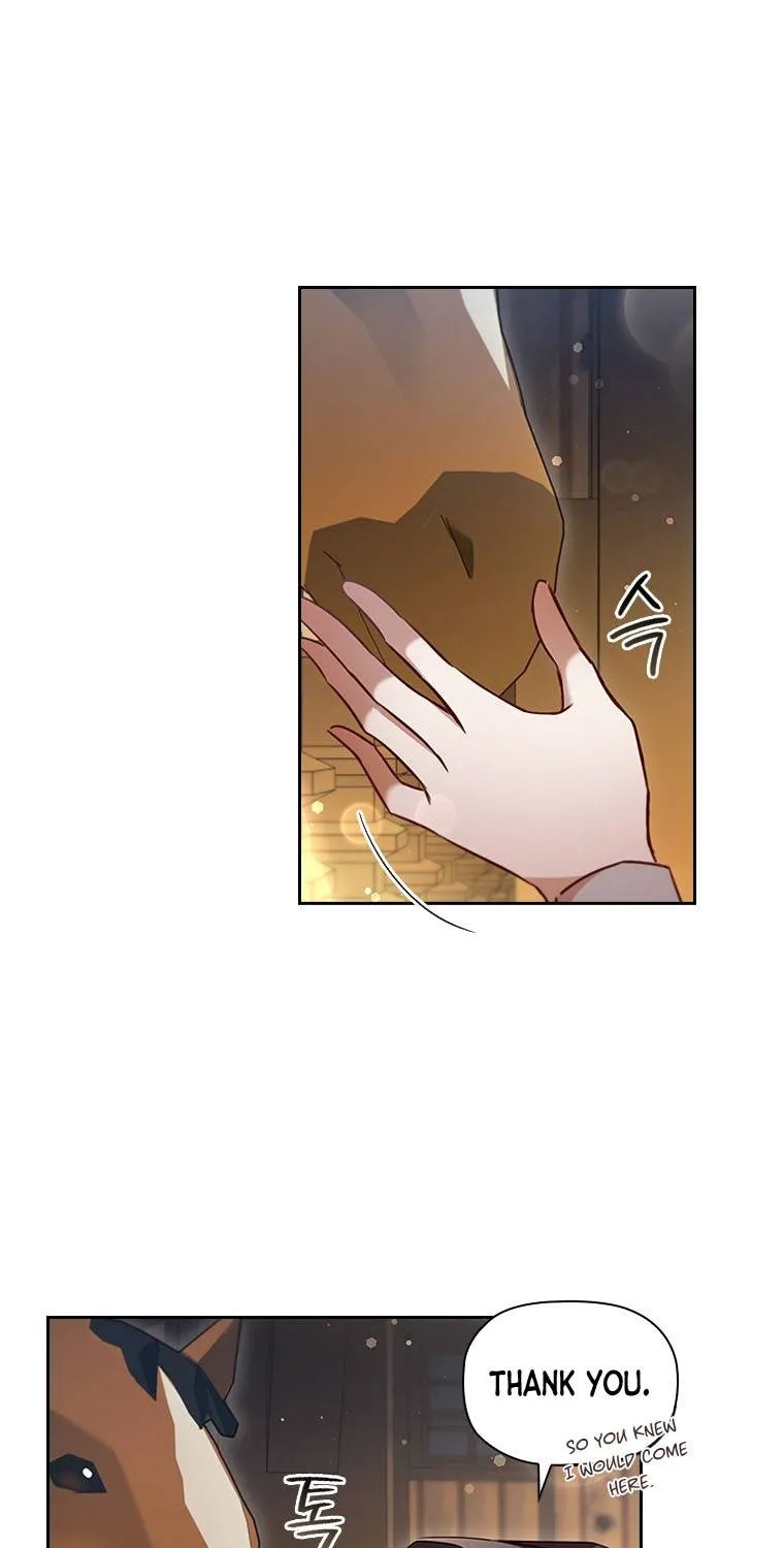 An Extra In The Family Is The First To Be Abandoned Zinmanga X Chapter 28 Page 29
