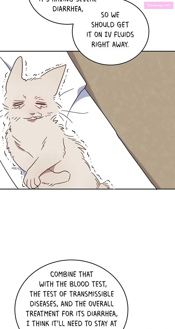 An Animal Hospital In The Border Area Zinmanga X Chapter 118 Page 40