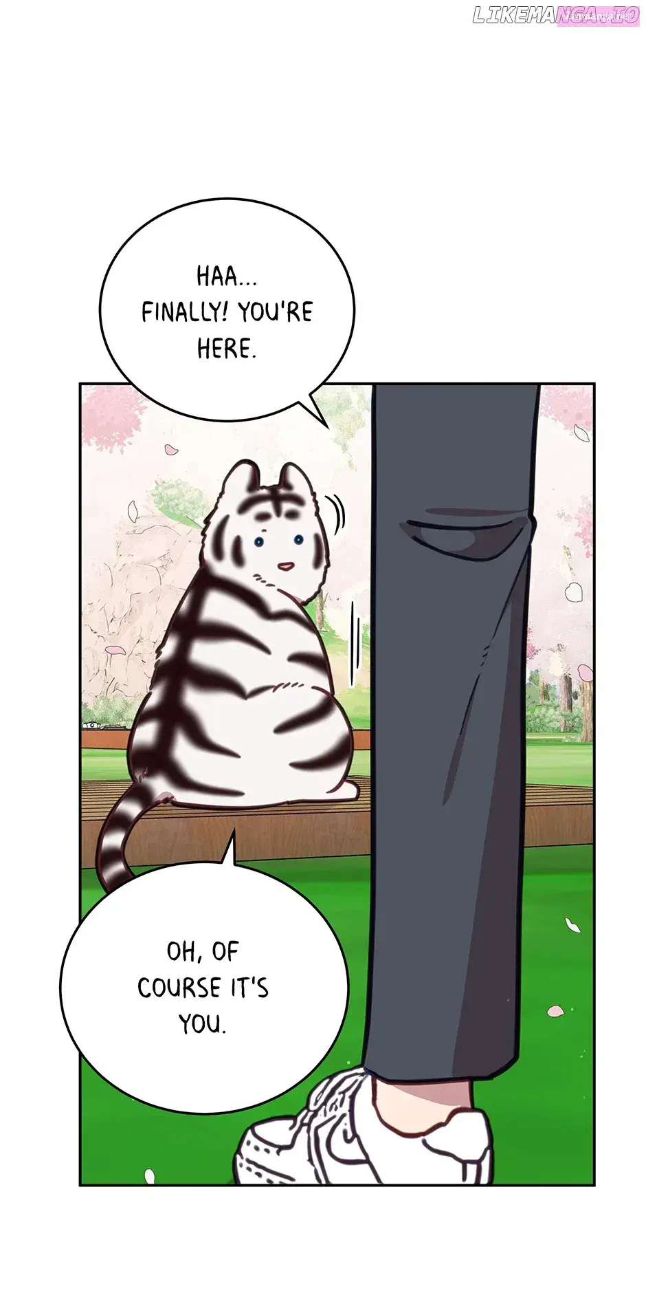 An Animal Hospital In The Border Area Zinmanga X Chapter 107 Page 71