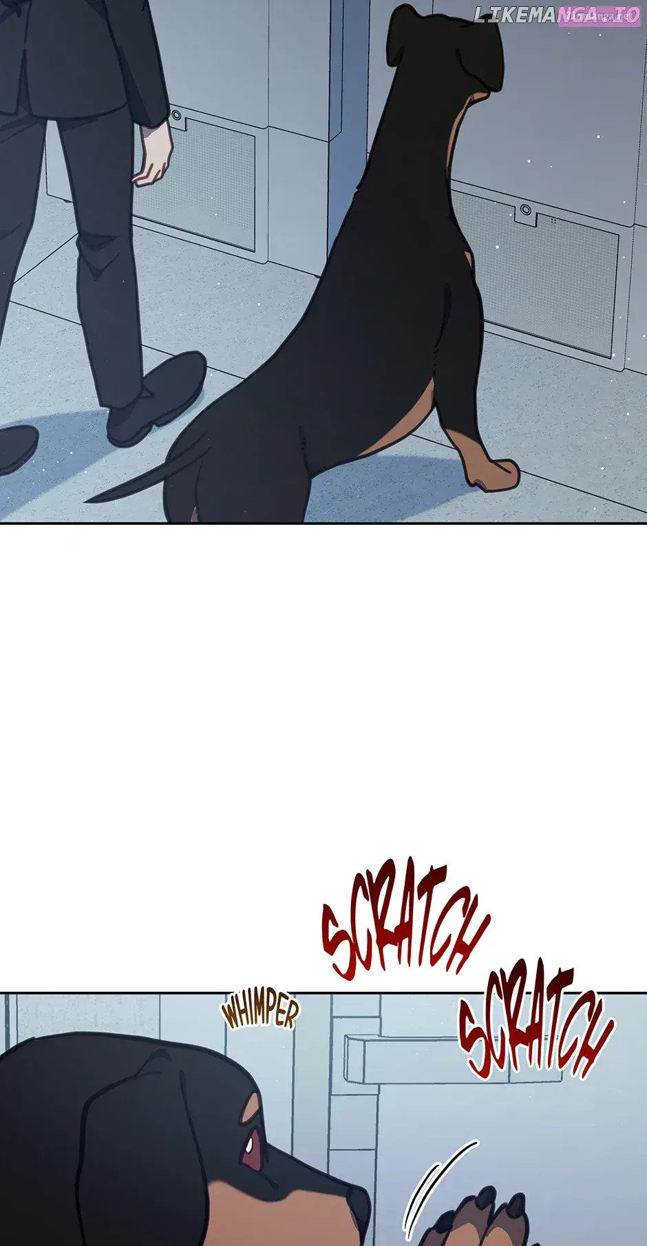 An Animal Hospital In The Border Area Zinmanga X Chapter 101 Page 44
