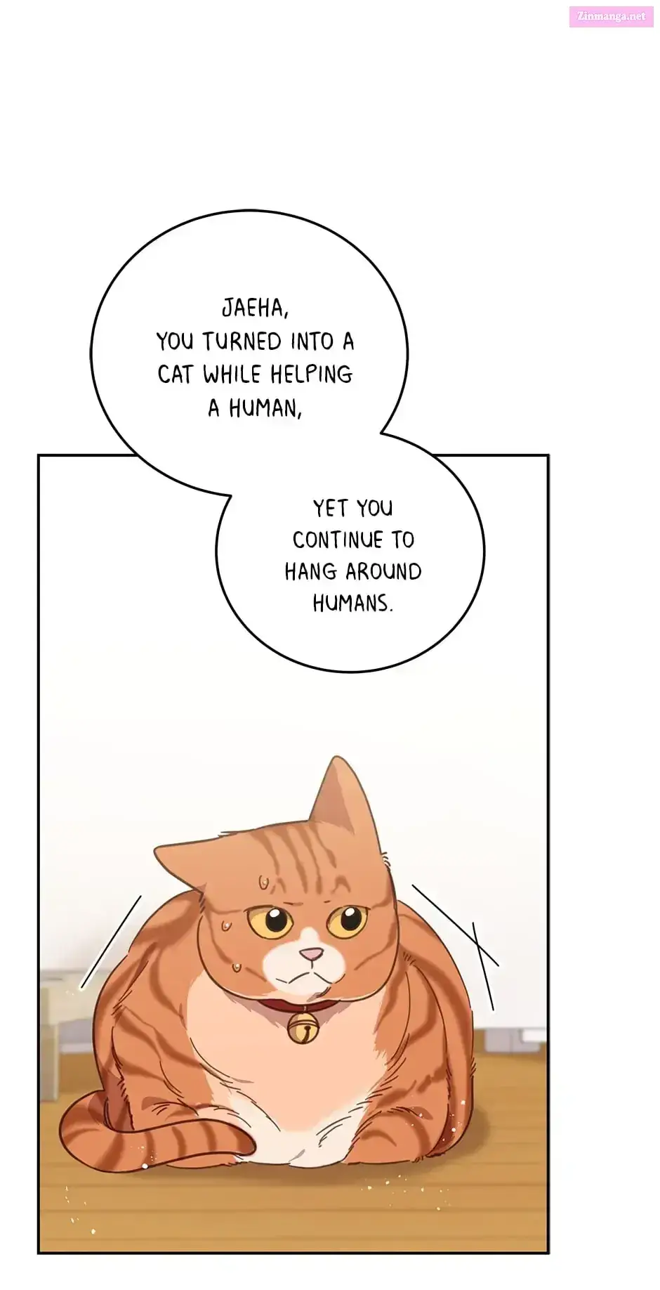An Animal Hospital In The Border Area Zinmanga X Chapter 74 Page 7