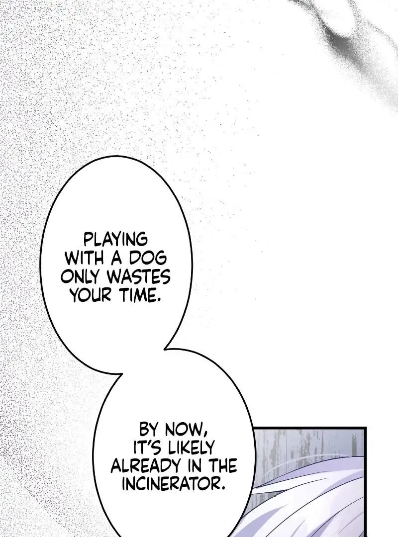 Your Majesty, I Will Raise Him This Time! Zinmanga X Chapter 5 Page 36