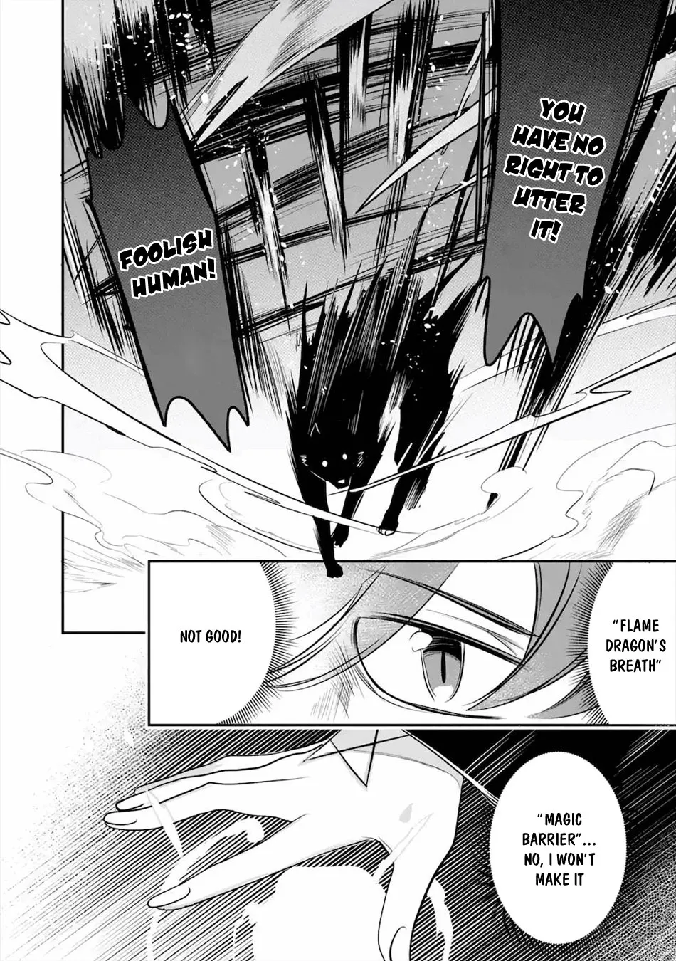 Mamono wo Shitagaeru "Teiin" wo Motsu Tensei Kenjya~ Katsute no Maho to Jyuma de Hissori Saikyo no Bokensha ninaru~ Zinmanga X Chapter 13 Page 25