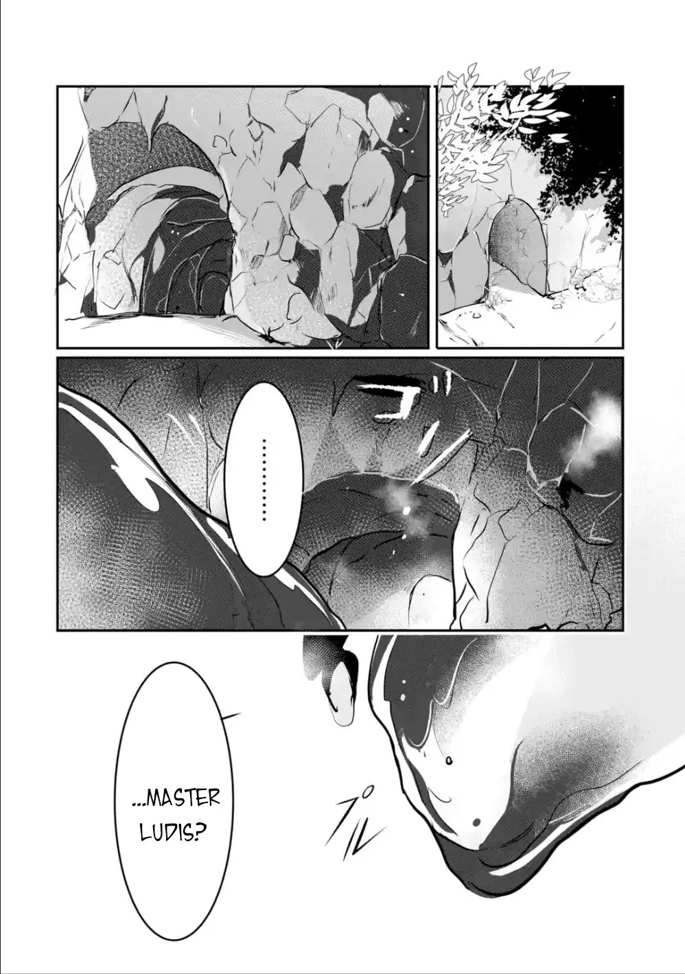 Mamono wo Shitagaeru "Teiin" wo Motsu Tensei Kenjya~ Katsute no Maho to Jyuma de Hissori Saikyo no Bokensha ninaru~ Zinmanga X Chapter 2.3000000000000003 Page 12