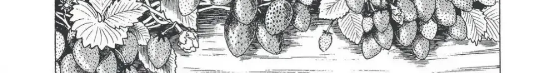 Oishinbo Zinmanga X Chapter 1.8000000000000007 Page 42