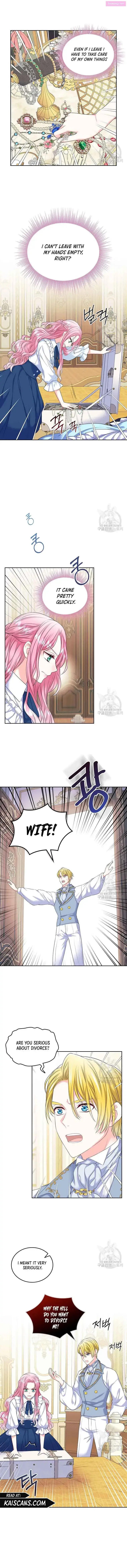 I Will Divorce The Female Lead’s Siscon Brother Zinmanga X Chapter 2 Page 2