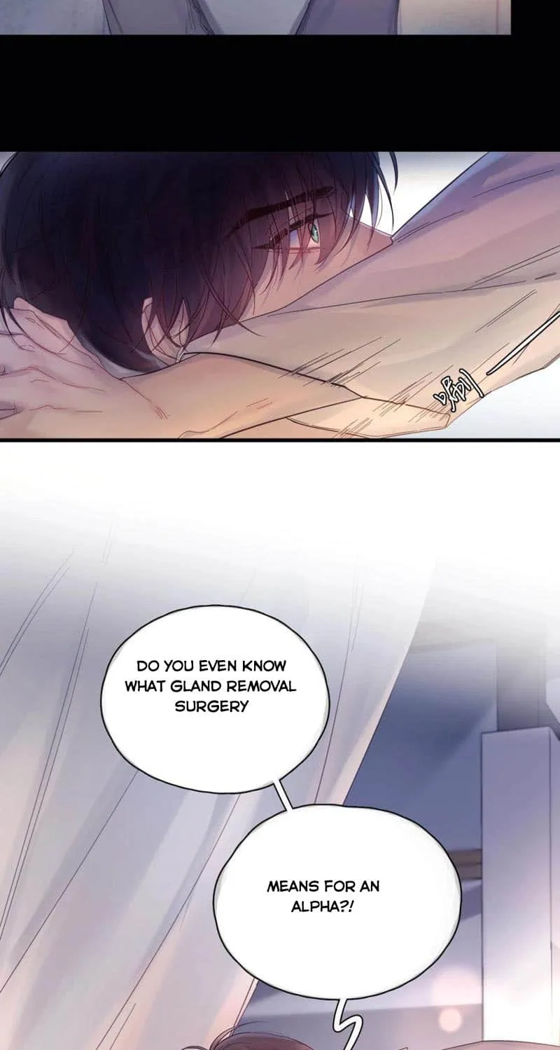 Fly Over The Sea Zinmanga X Chapter 12 Page 29